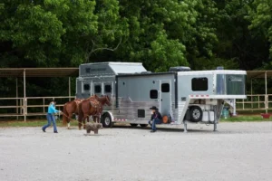 Read more about the article Horse Trailer 101: Bumper Pull vs Gooseneck Trailers
